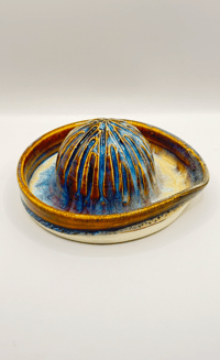 Image 5 of Citrus Juicer | Golden Paua 2