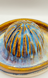 Image 4 of Citrus Juicer | Golden Paua 2