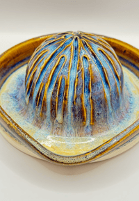 Image 2 of Citrus Juicer | Golden Paua 2