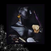 Image 3 of ☽ Hypericum Flava ☾