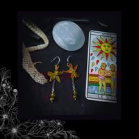 Image 4 of ☽ Hypericum Flava ☾