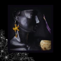 Image 5 of ☽ Hypericum Flava ☾