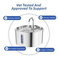 The Viral Purrify cat water fountain 