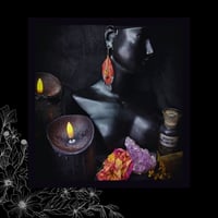 Image 3 of ☽ Phoenix ☾