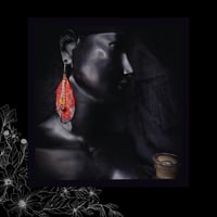 Image 5 of ☽ Phoenix ☾