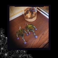 Image 2 of ☽ Rubus Etrusca ☾