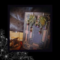 Image 4 of ☽ Rubus Etrusca ☾