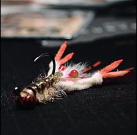 Image 1 of Ghost Craw 