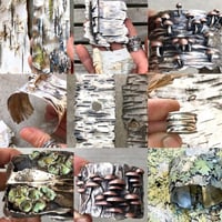 Image 3 of I Speak For The Trees workshop, March 30-April 3, 2026