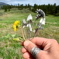 Image 4 of Inspired By Spring workshop, April 20-24, 2026