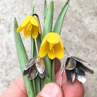 Image 2 of Inspired By Spring workshop, April 20-24, 2026