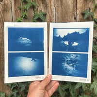 Cyanotype Print Bundle