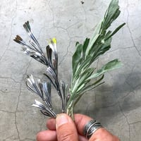 Image 9 of Inspired by the Prairie workshop, May 4-8, 2026