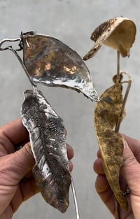 Image 10 of Inspired by the Prairie workshop, May 4-8, 2026