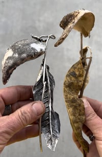 Image 11 of Inspired by the Prairie workshop, May 4-8, 2026