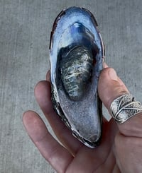 Image 3 of From Fabrication to Color, June 15-19, 2026