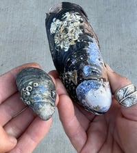 Image 2 of From Fabrication to Color, June 15-19, 2026