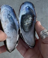 Image 4 of From Fabrication to Color, June 15-19, 2026