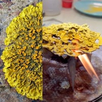 Image 5 of From Fabrication to Color, June 15-19, 2026