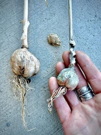 Image 6 of An Exploration of Textures workshop, September 28-Oct 2, 2026