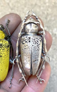 Image 10 of An Exploration of Textures workshop, September 28-Oct 2, 2026