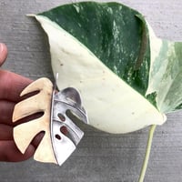 Image 2 of Silversmithing Basics, November 2-6, 2026