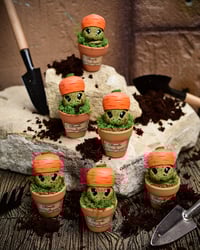 Image 1 of Mini Mandrágoras Zanahoria  (Versión Huerto)