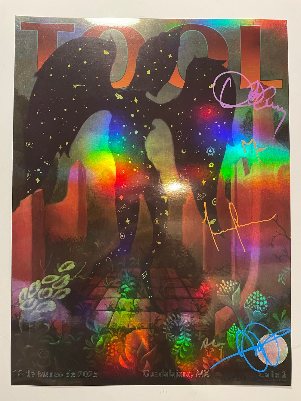 Image of Guadalajara 2025 #133/226 (Band-Signed)