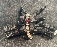 Image 3 of Skull and Bones