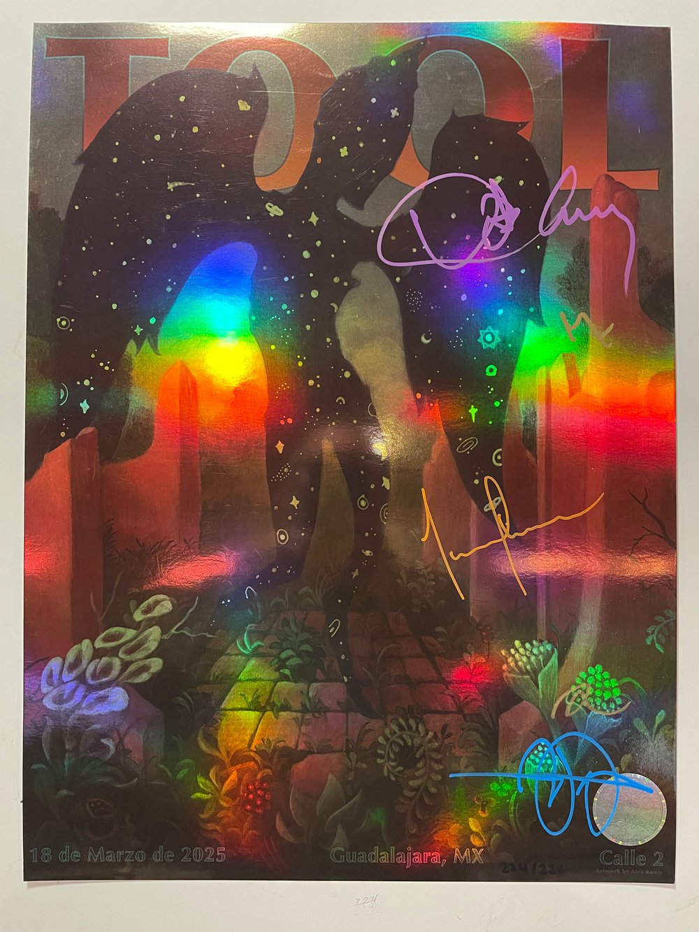 Image of Guadalarja 2025 #224/226 (Band-Signed)