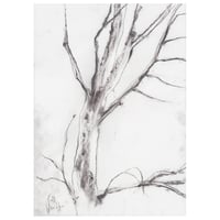 Image 1 of Insch Tree One  - Charcoal on Paper 