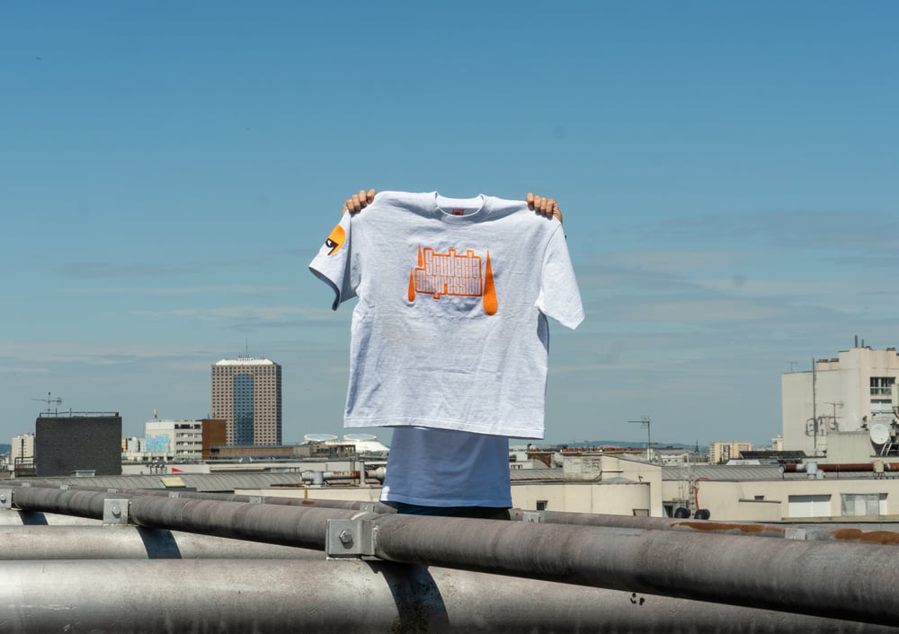 Image of Tee shirt BIG BOX LOGO gris chiné