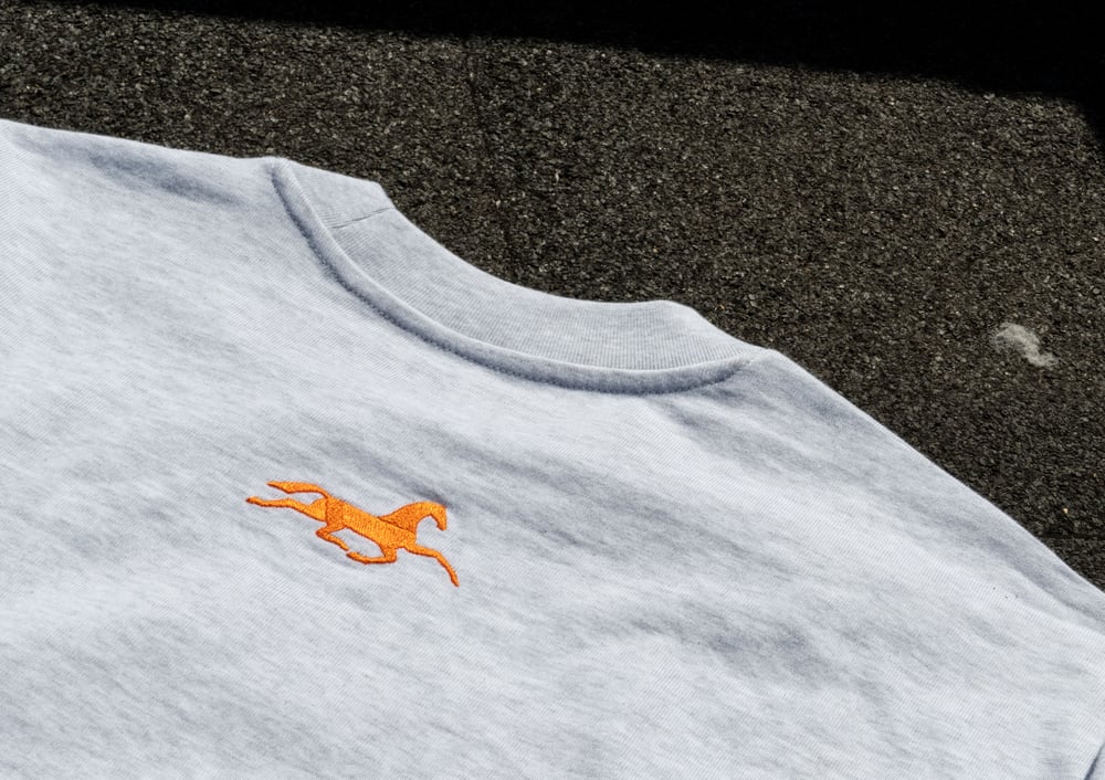 Image of Tee shirt BIG BOX LOGO gris chiné
