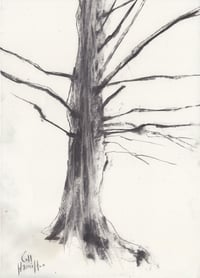 Image 2 of Insch Tree Two  - Charcoal on Paper 