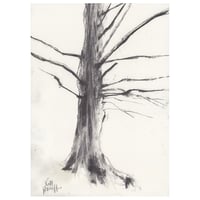 Image 1 of Insch Tree Two  - Charcoal on Paper 