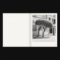 Image 8 of [HANDSHAKE™] A GUIDE ON GARDENING (RUBÉN MONTESINOS™)