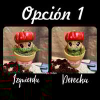 Image 4 of Mini mandrágora tomate (versión huerto)