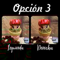 Image 6 of Mini mandrágora tomate (versión huerto)