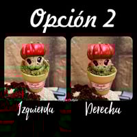 Image 5 of Mini mandrágora tomate (versión huerto)