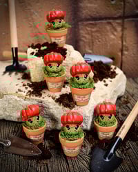 Image 1 of Mini mandrágora tomate (versión huerto)