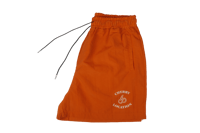 Image 2 of Orange Shorts