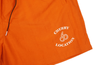 Image 3 of Orange Shorts