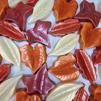 Image 4 of Autumn Leaves 4pk