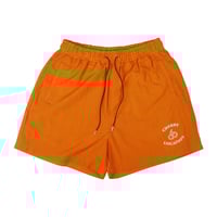 Image 1 of Orange Shorts