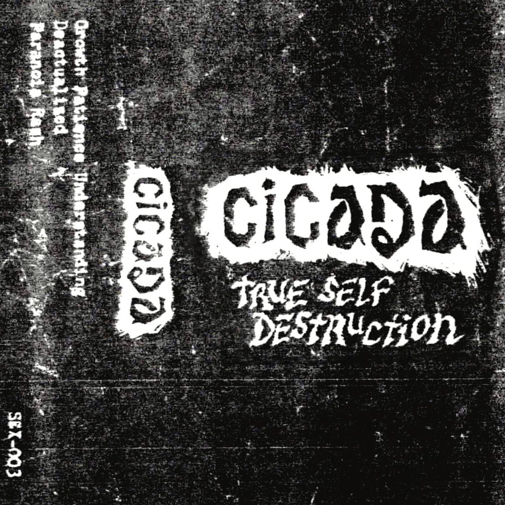 CICADA - True Self Destruction CS