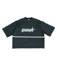 Image 2 of LARIOS T