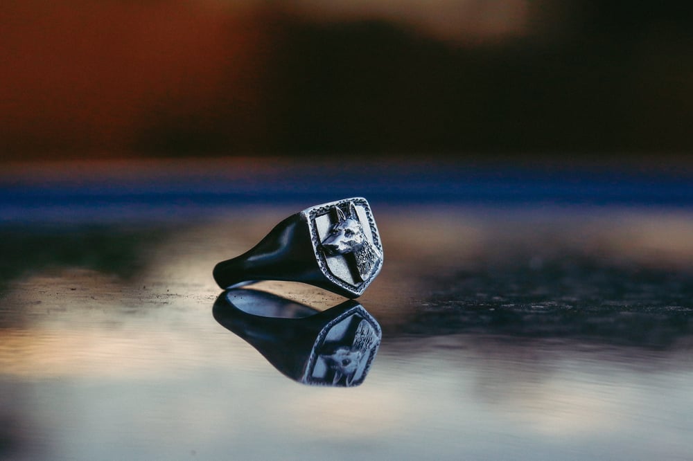Image of Shepherd Shield Ring  