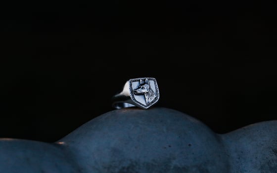 Image of Shepherd Shield Ring  