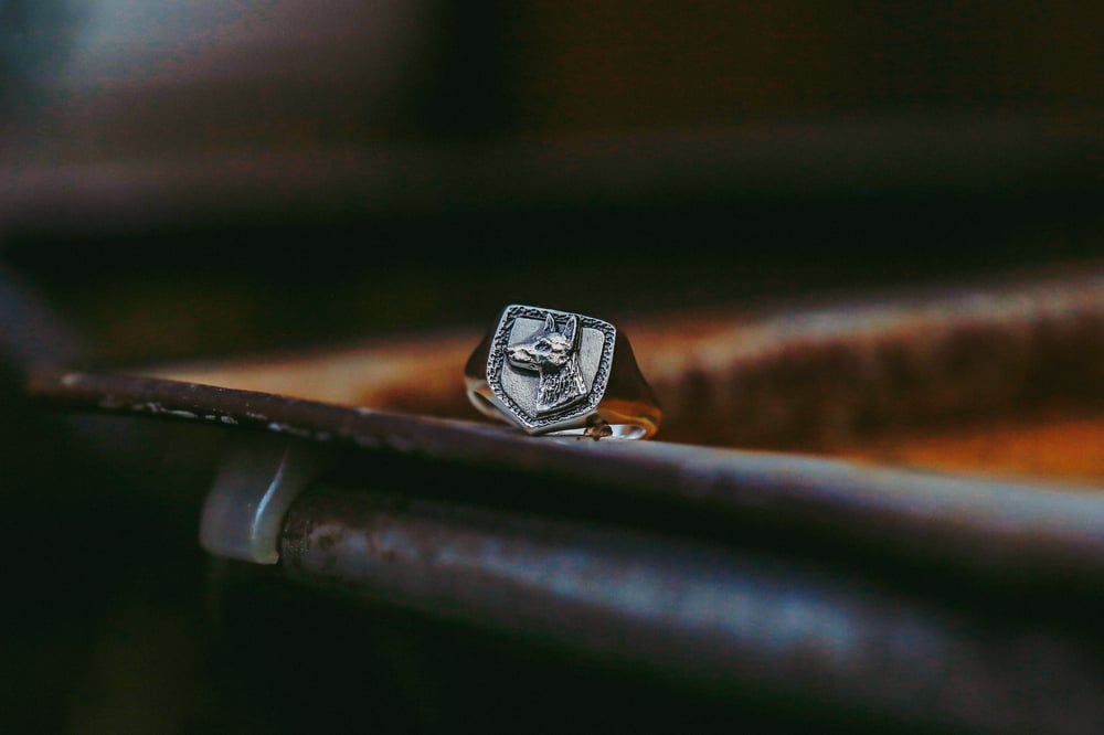 Image of Shepherd Shield Ring  