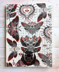 Image 2 of Insect , Reusable Sticker Book